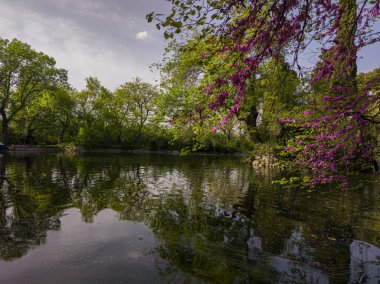 Su birikintisinin yanındaki renkli ağaçların olduğu bir şehir parkında bahar manzarası.