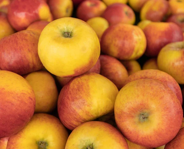 stock image A hill of beautiful appetizing red-yellow apples. High quality photo