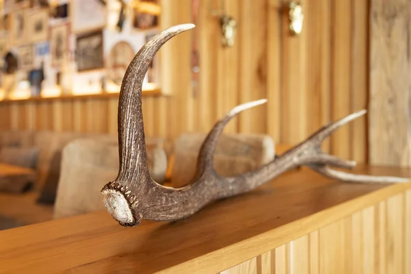 Horns Hunting Trophy Adorn Counter Alpine Restaurant Decorated National Style — Fotografia de Stock