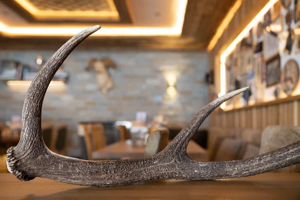 Horns Decorative Element Alpine Mountain Restaurant Austria Salzburg Gastein High — Fotografia de Stock