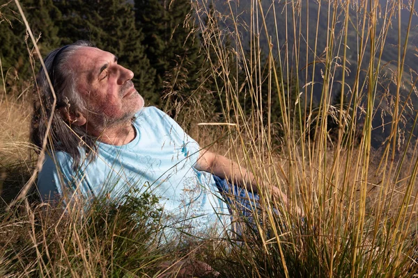 Yetişkin, kır saçlı, uzun saçlı bir adam akşam güneşinde uzun otların olduğu bir arazide dinleniyor. Yüksek kalite fotoğraf