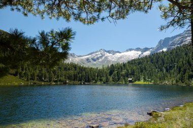 Avusturya 'nın güney kesimindeki en temiz su olan Alp göllerinin manzarası, Reed See. Yüksek kalite fotoğraf