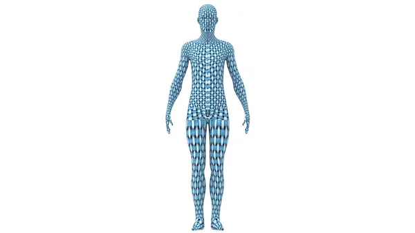 Anatomia Corpo Exterior Humano — Fotografia de Stock