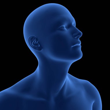 İnsan Yüzü Poz Anatomisi. Üç Boyut