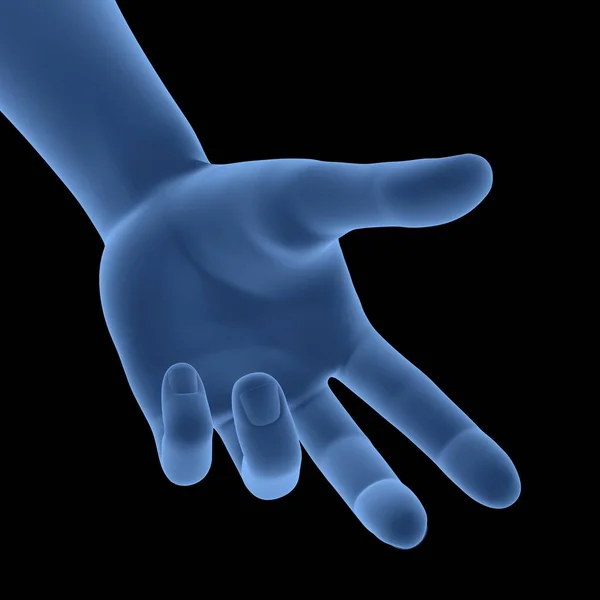 Human Body Hand Pose Anatomy. 3D