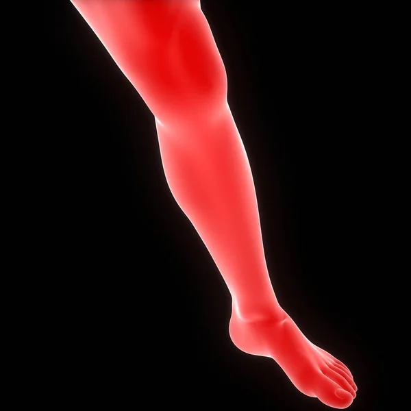 人体脚ポーズ解剖学 — ストック写真