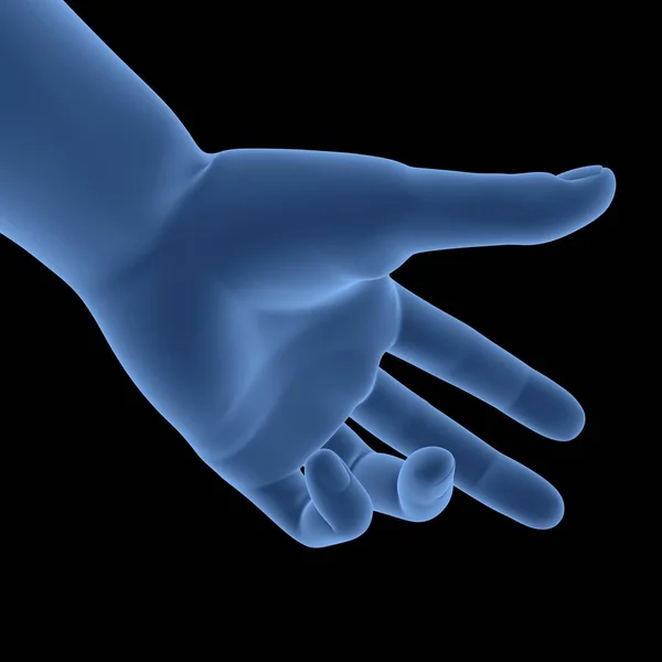 Human Body Hand Pose Anatomy — Stock Photo, Image