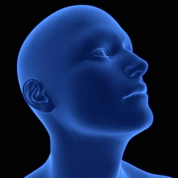 Human Body Face Pose Anatomy. 3D