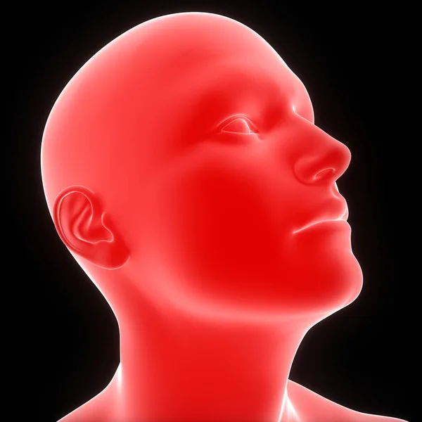 人体の顔のポーズ解剖学 — ストック写真