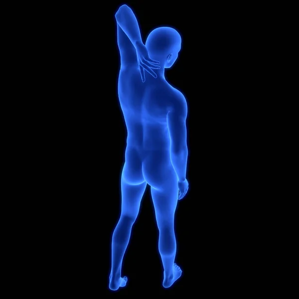 Human Body Suffering Back Pain Anatomy — Stock Photo, Image
