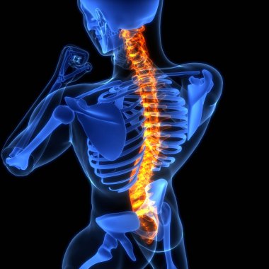 İnsan iskelet sistemi anatomisinin omurilik omurgası. Üç Boyut