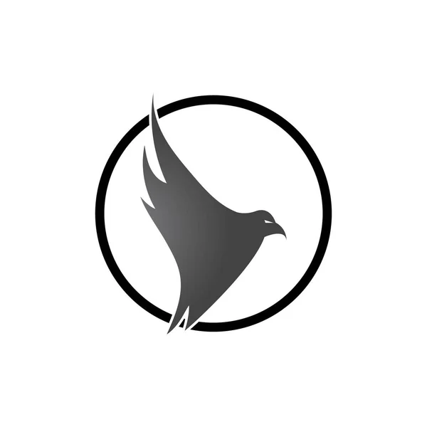 stock vector Falcon Eagle Logo Template vector illustration design