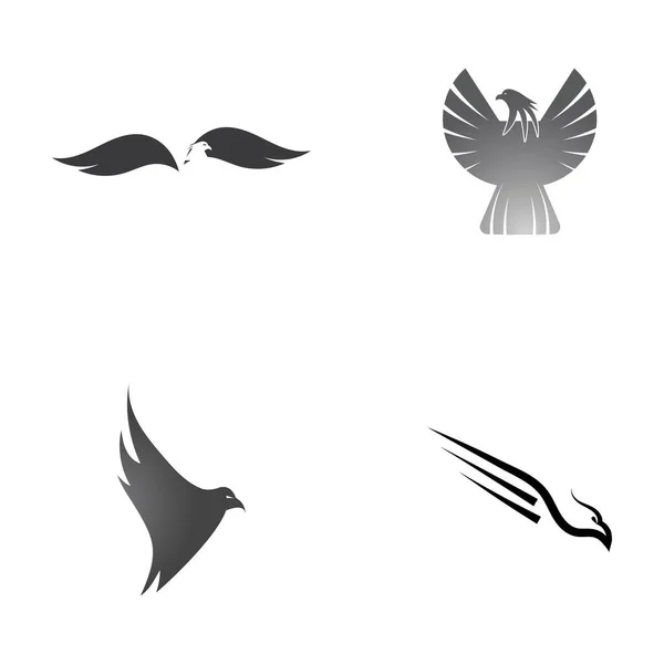 Falcon Eagle Logo Template Design Ilustração Vetorial — Vetor de Stock