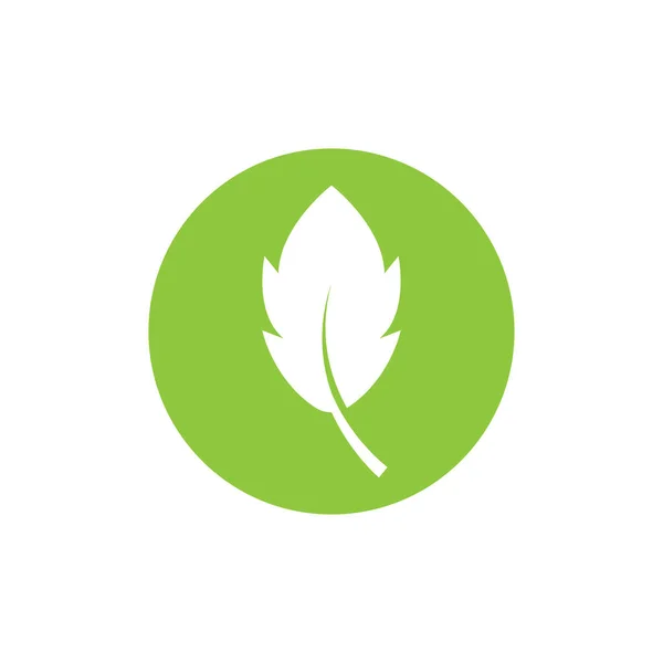 Logos Von Grünen Baumblättern Ökologie Natur Element Vektor — Stockvektor