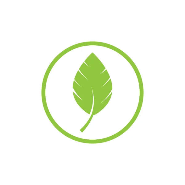 Logo Van Groene Boomblad Ecologie Natuur Element Vector — Stockvector