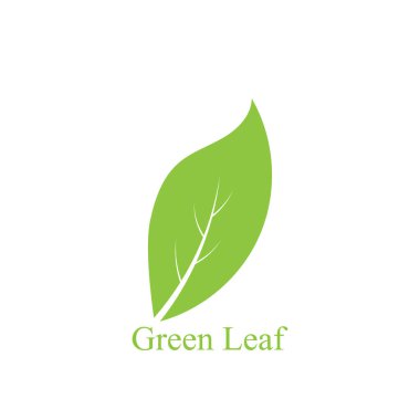 Yeşil ağaç yaprağı ekoloji doğa elementi vektörü logoları