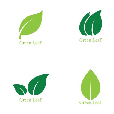 Yeşil ağaç yaprağı ekoloji doğa elementi vektörü logoları