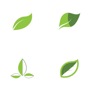 Doğal yaprak logosu, simge illüstrasyonu