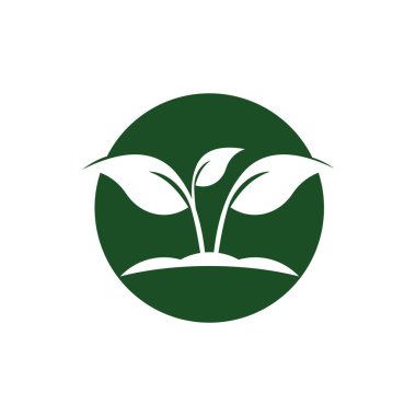 Ağaç yaprak vektör logo tasarım çevre dostu konsepti