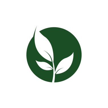 Ağaç yaprak vektör logo tasarım çevre dostu konsepti