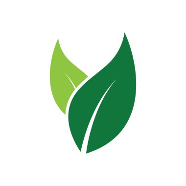 Yaprak Logosu Resimleri Şablon Simgesi Tasarımı