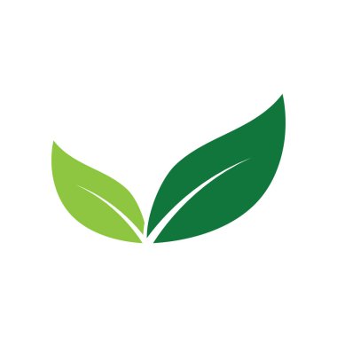 Yaprak Logosu Resimleri Şablon Simgesi Tasarımı