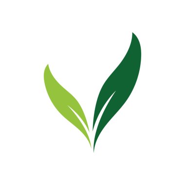 Yaprak Logosu Resimleri Şablon Simgesi Tasarımı