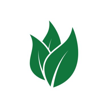 Yaprak Logosu Resimleri Şablon Simgesi Tasarımı