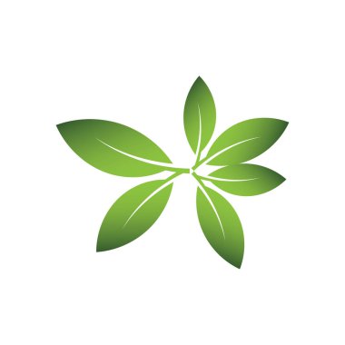 Yeşil Yaprak Logosu Grafik Resimleri 