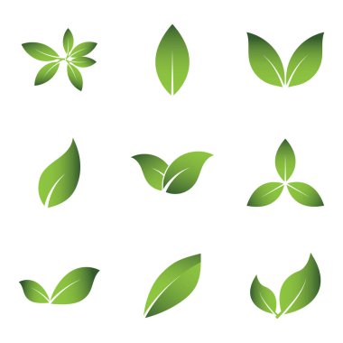 Green Leaf Logo Grapich Images 