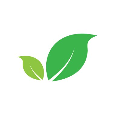 Yaprak grafik tasarım logo şablonu