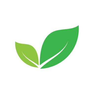 Yaprak grafik tasarım logo şablonu