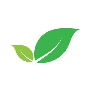 Yaprak grafik tasarım logo şablonu