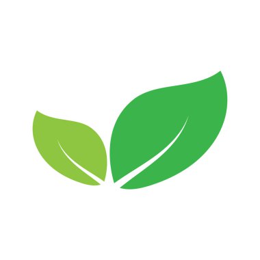 Yaprak grafik tasarım logo şablonu