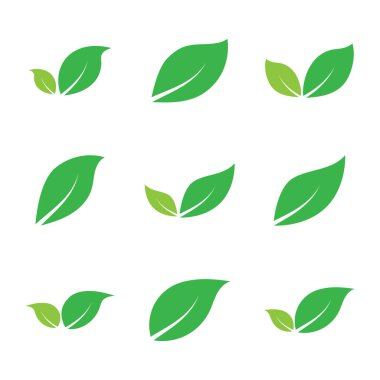 Yaprak grafik tasarım logo şablonu