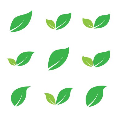 Yaprak grafik tasarım logo şablonu