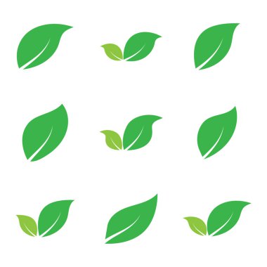 Yaprak grafik tasarım logo şablonu