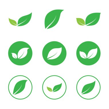 Yaprak grafik tasarım logo şablonu