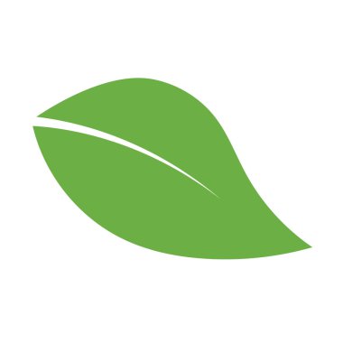 Yaprak Logosu Simgesi Grafik Arkaplan Şablonu