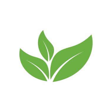 Yaprak Logosu Simgesi Grafik Arkaplan Şablonu