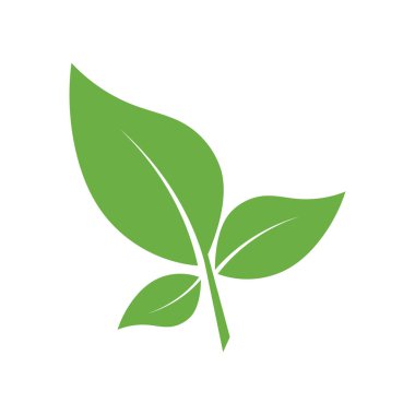 Yaprak Logosu Simgesi Grafik Arkaplan Şablonu