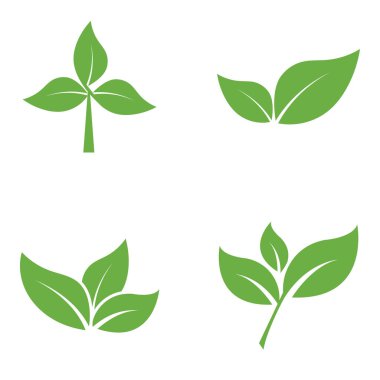 Yaprak Logosu Simgesi Grafik Arkaplan Şablonu