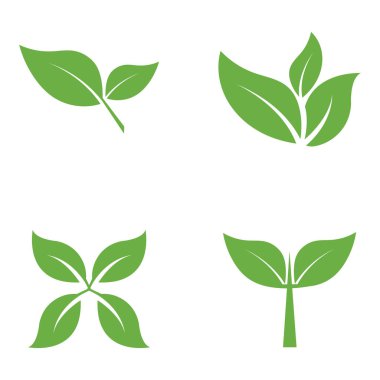 Yaprak Logosu Simgesi Grafik Arkaplan Şablonu