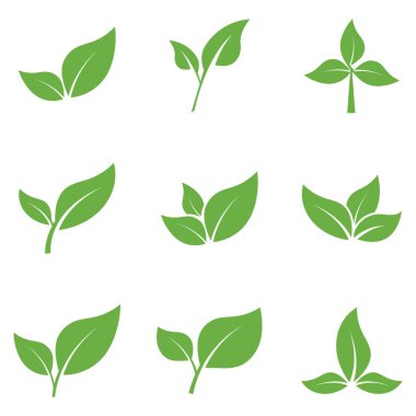 Yaprak Logosu Simgesi Grafik Arkaplan Şablonu