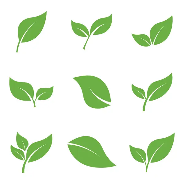Yaprak Logosu Simgesi Grafik Arkaplan Şablonu