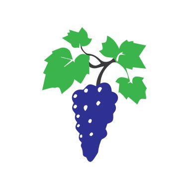  Basit Modern Üzüm Logosu Tasarımı