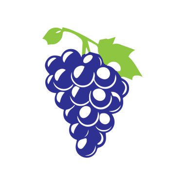  Basit Modern Üzüm Logosu Tasarımı