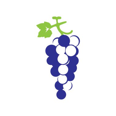  Basit Modern Üzüm Logosu Tasarımı