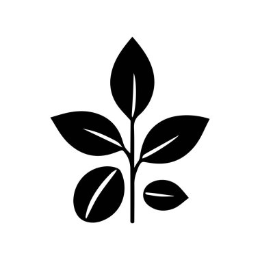 Klasik botanik görünümlü klasik oymalı kahve fabrikası logosu