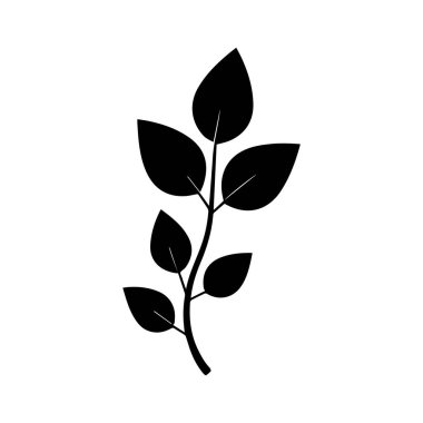 Seçkin Kahve Fabrikası Üst Düzey Özel Kahve Markası Tasarımı